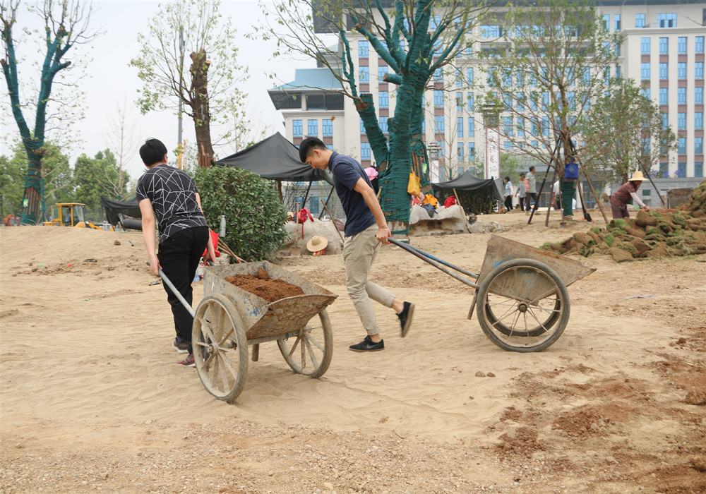 党建带团建 立功在一线 ——evo视讯集团党员干部向导团员青年投身项目一线